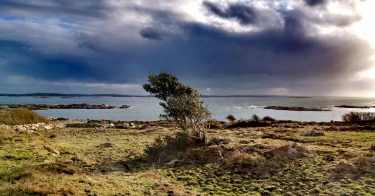 Crainn agus Logainmneacha